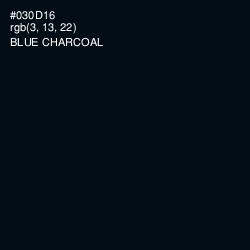 #030D16 - Blue Charcoal Color Image